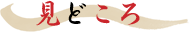 見どころ
