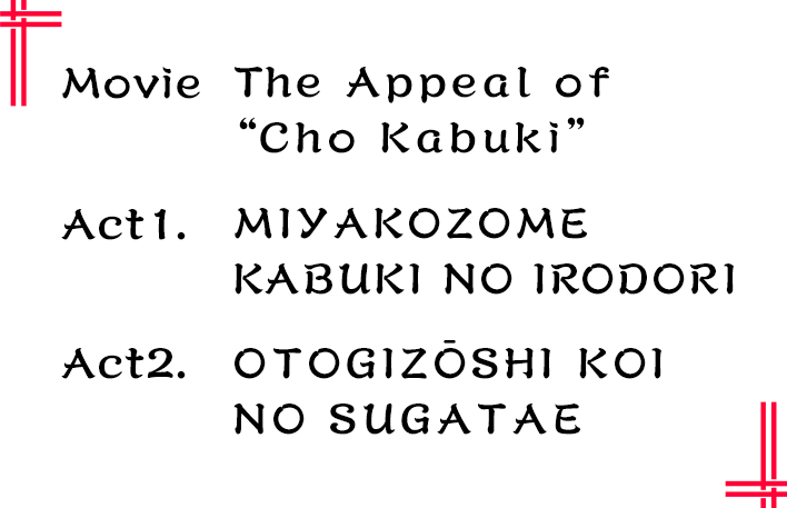 Program